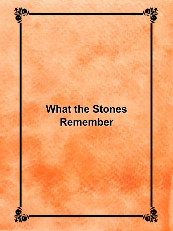 Cover image for What the Stones Remember