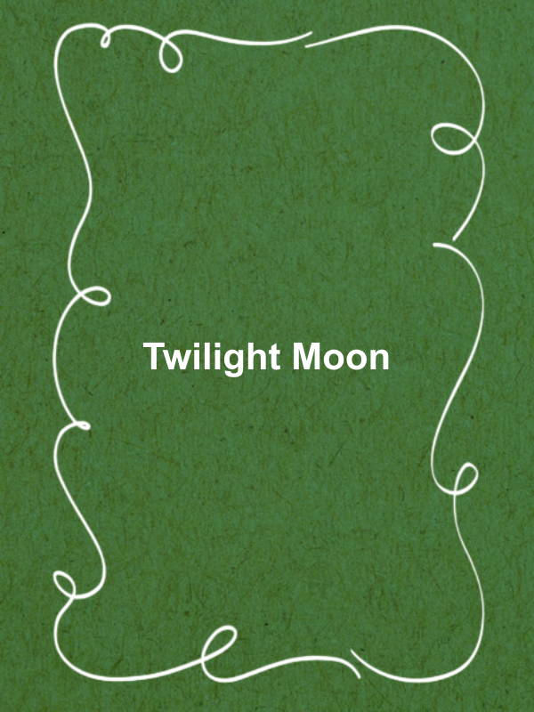 Cover image for Twilight Moon
