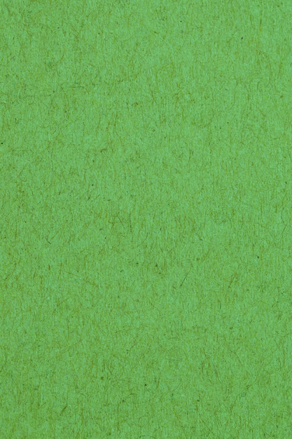 Cover image for What the Forest Demands