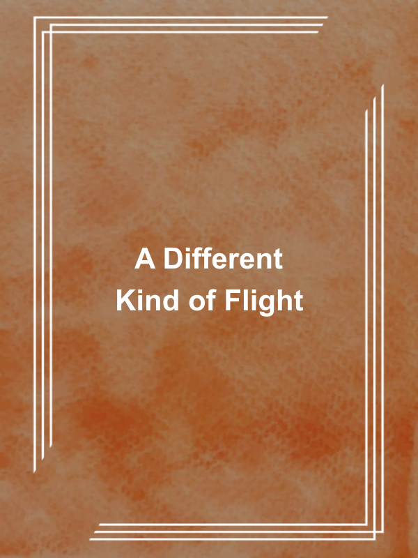 Cover image for A Different Kind of Flight